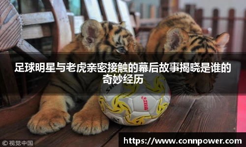 ac米兰体育官方网站